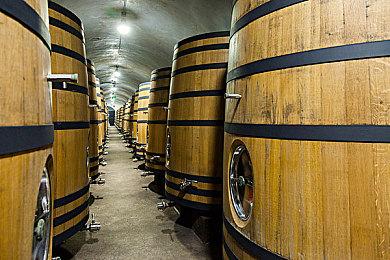 回合制战略游戏《英雄之时》现已在Steam平台发售 支持中文